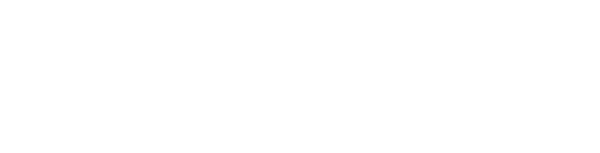 Lang Sustainability